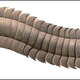 A reconstruction of the giant millipede.